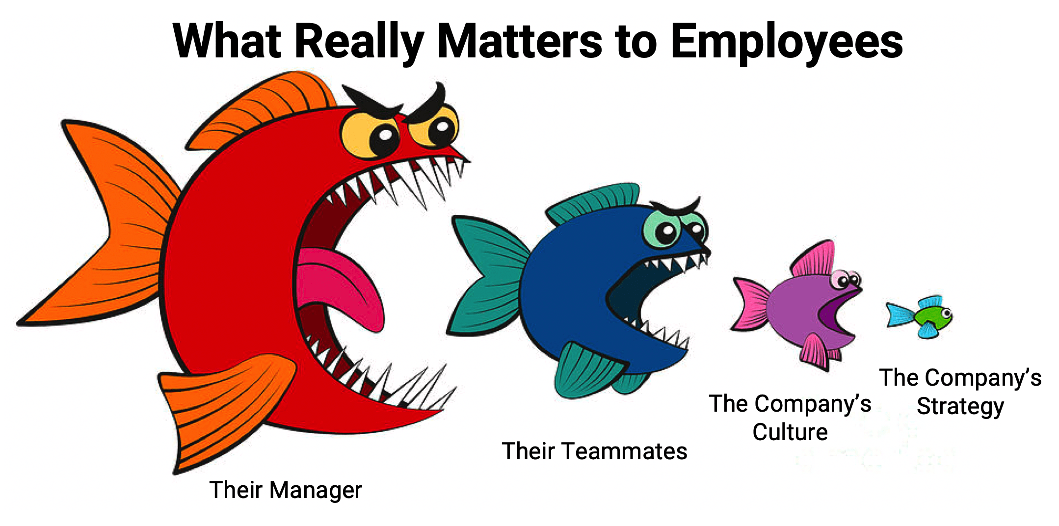 What really matters to employees